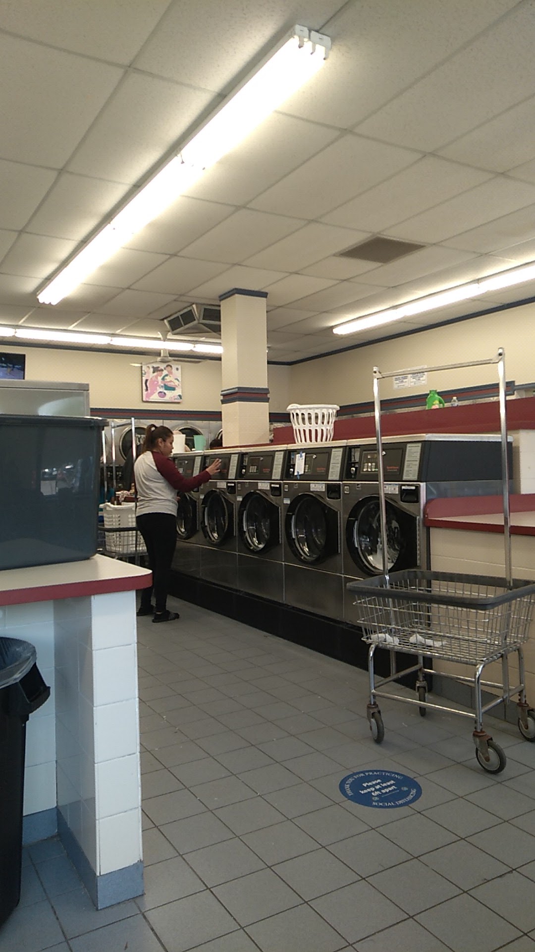 Blue Kangaroo Laundromat cover photo