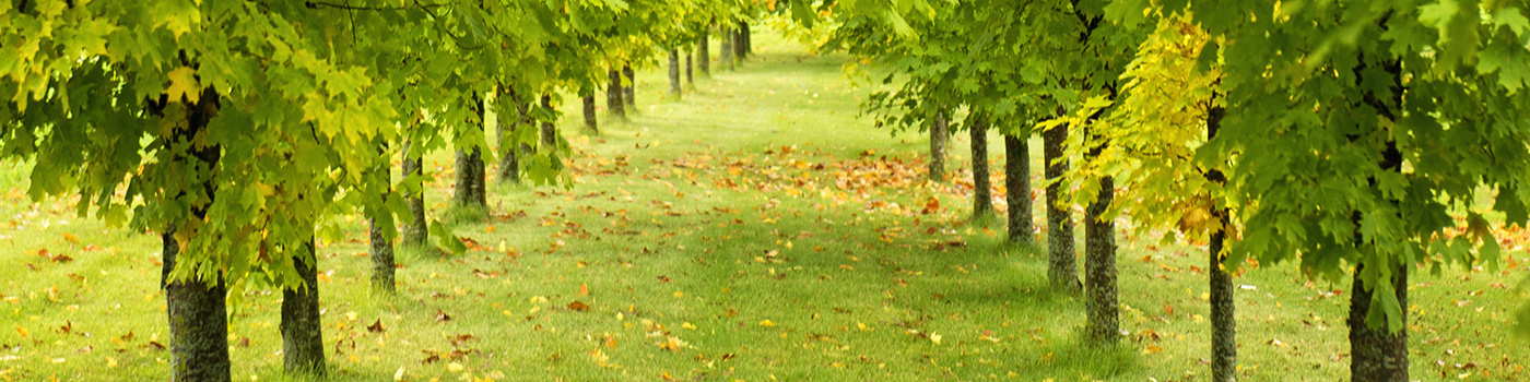 L And L Environmental Services LLC cover photo
