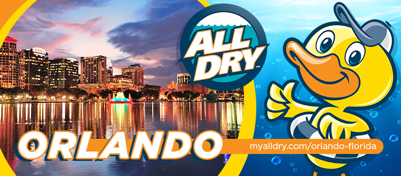 All Dry Services of Orlando work photo