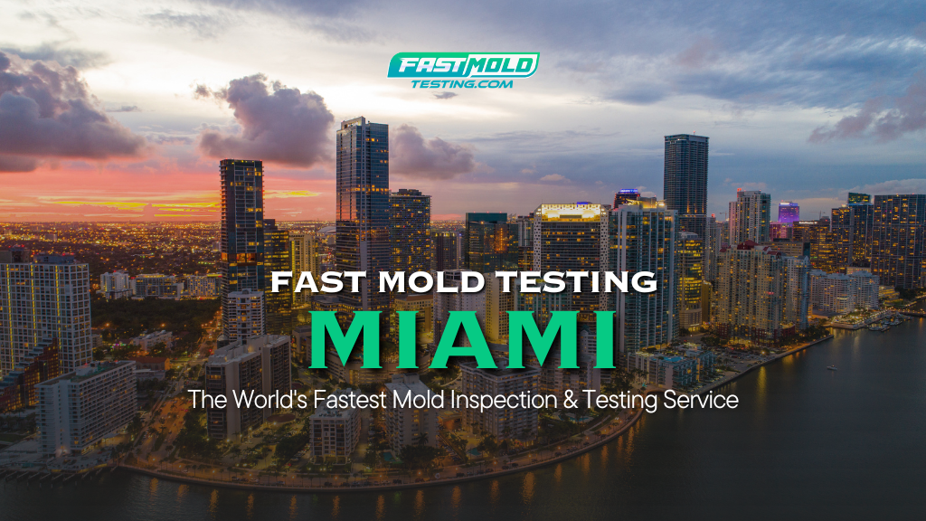 Fast Mold Testing - Miami work photo