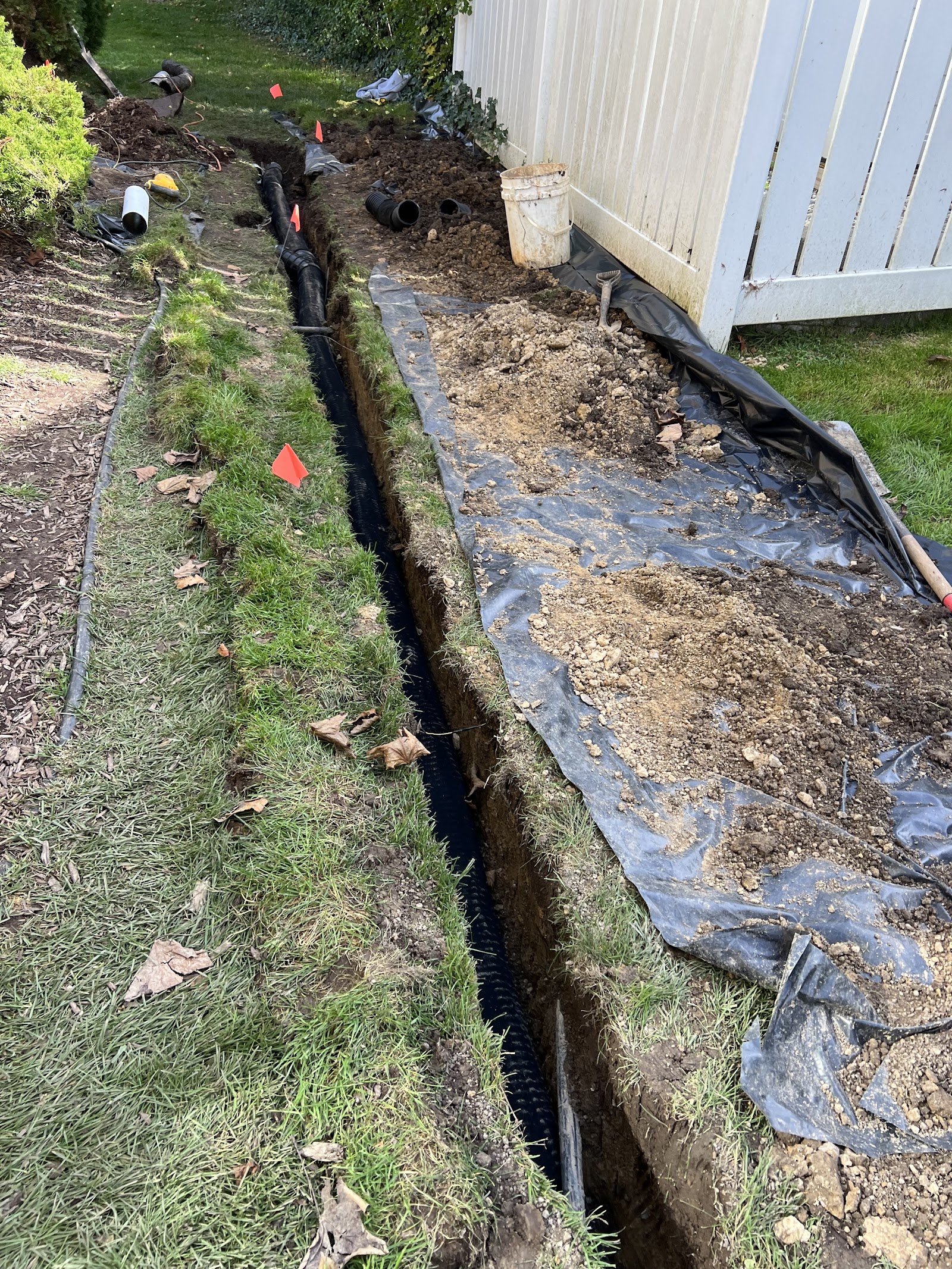 Affordable Dry Basement cover photo