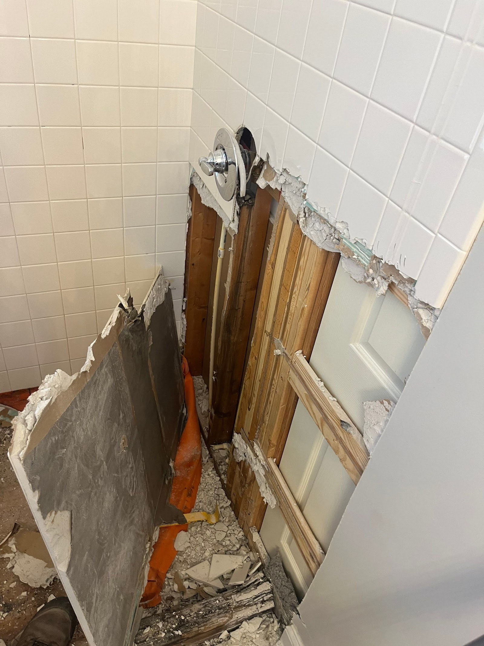 Mold Trust cover photo