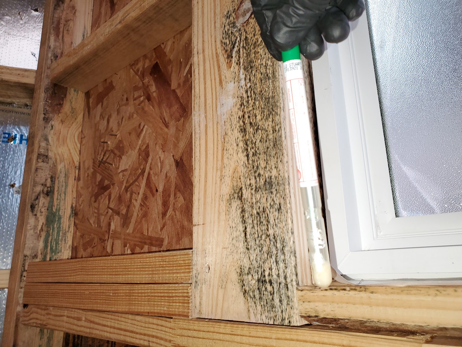 Certified Mold Testing and Consulting work photo