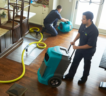Mold Experts Now work photo