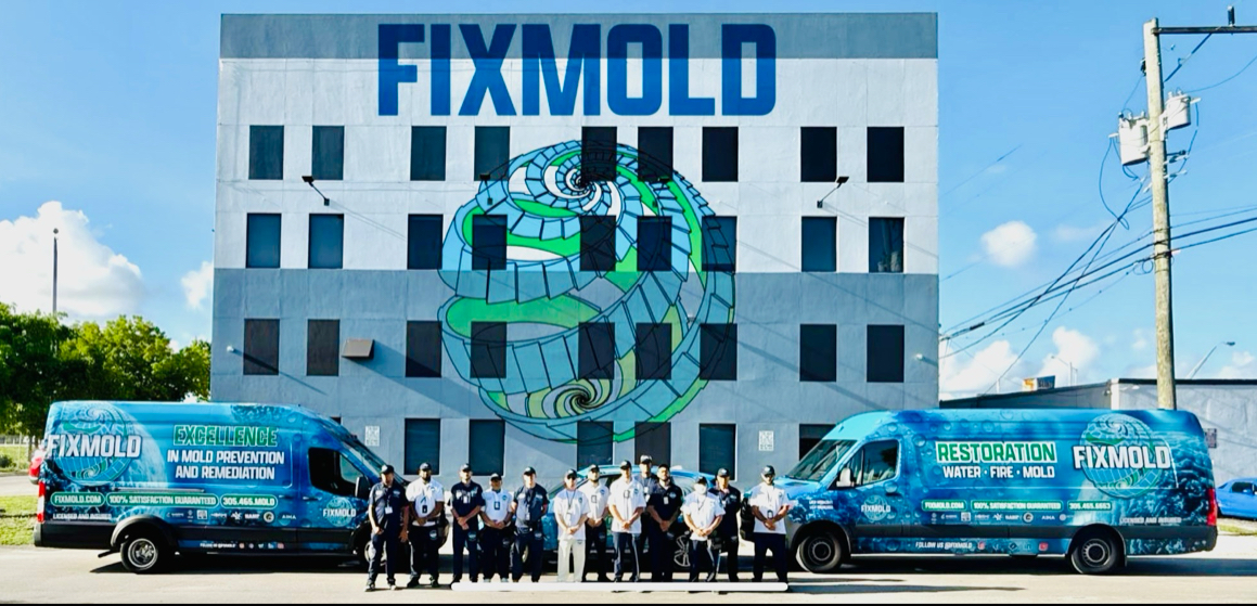 Fix Mold Miami work photo