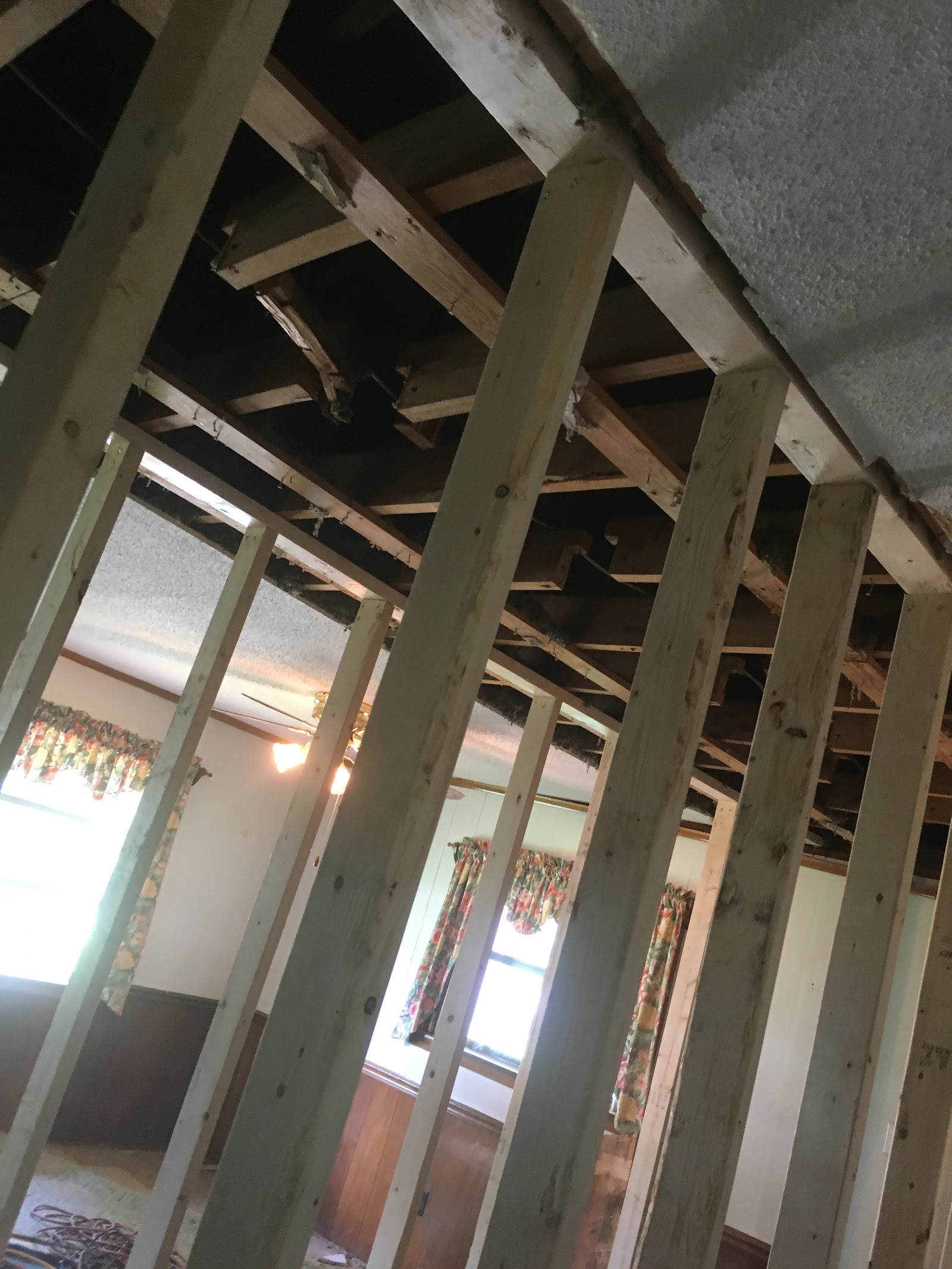 Structural Solutions and Remodeling, LLC work photo
