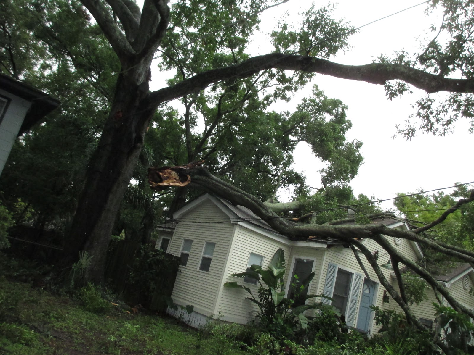 BELFOR Property Restoration cover photo