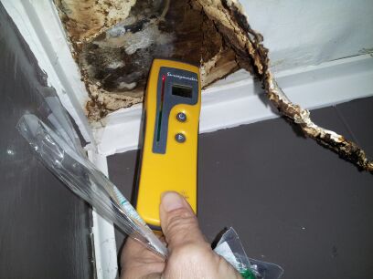 Minnesota Mold Inspection, LLC cover photo