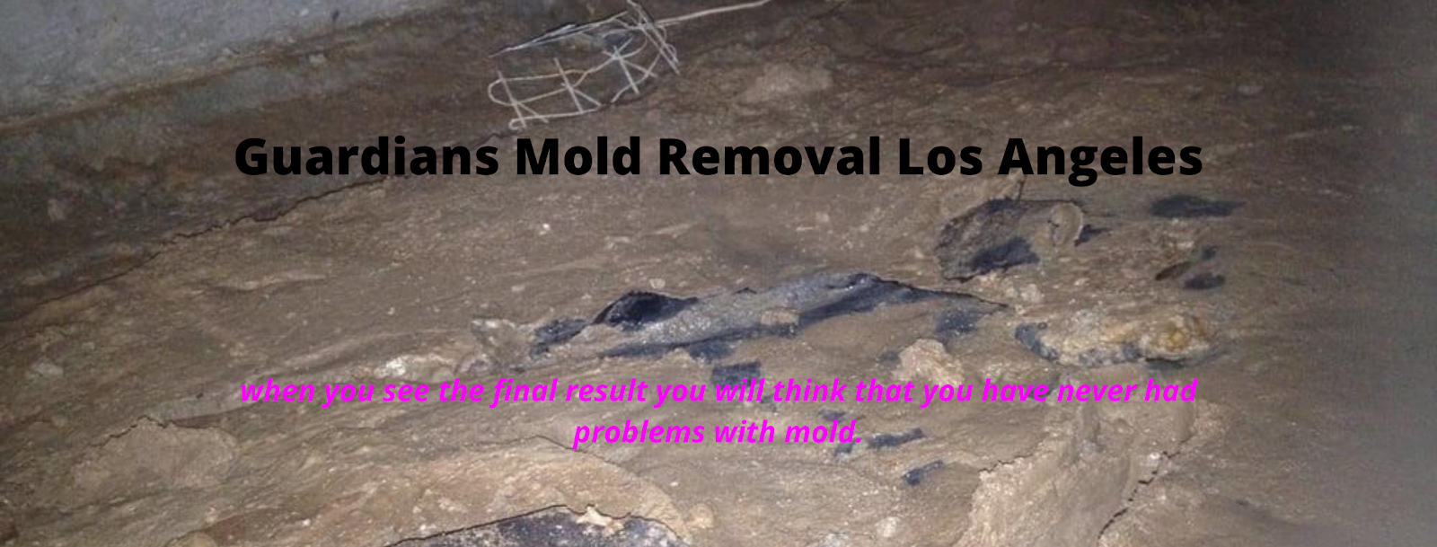 Guardians Mold Removal Los Angeles work photo