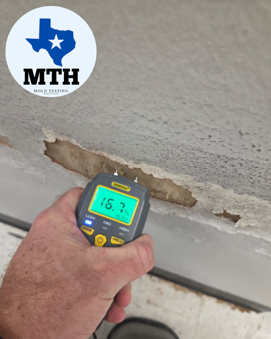 Mold Testing Houston- The Woodlands work photo
