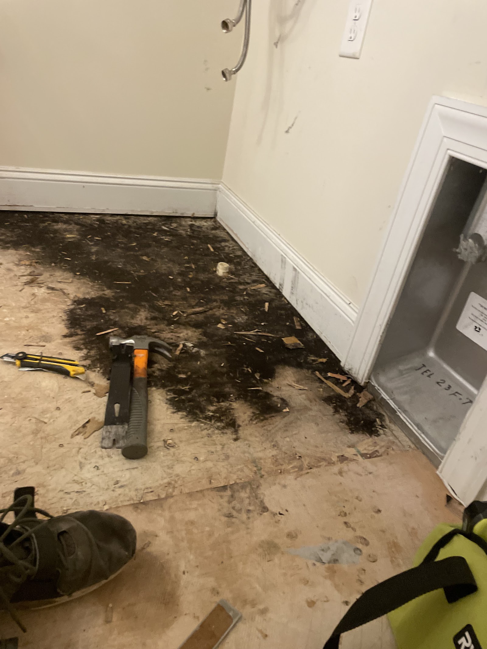 NC Water And Mold work photo