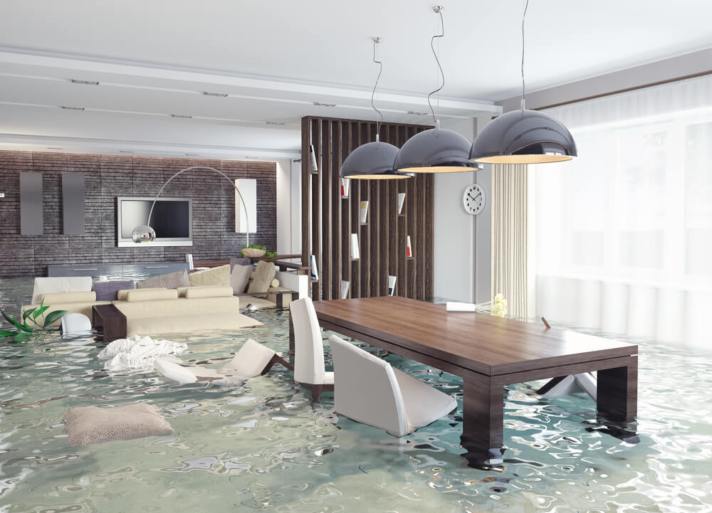 Salt Lake City Water Damage Utah Mold Removal cover photo