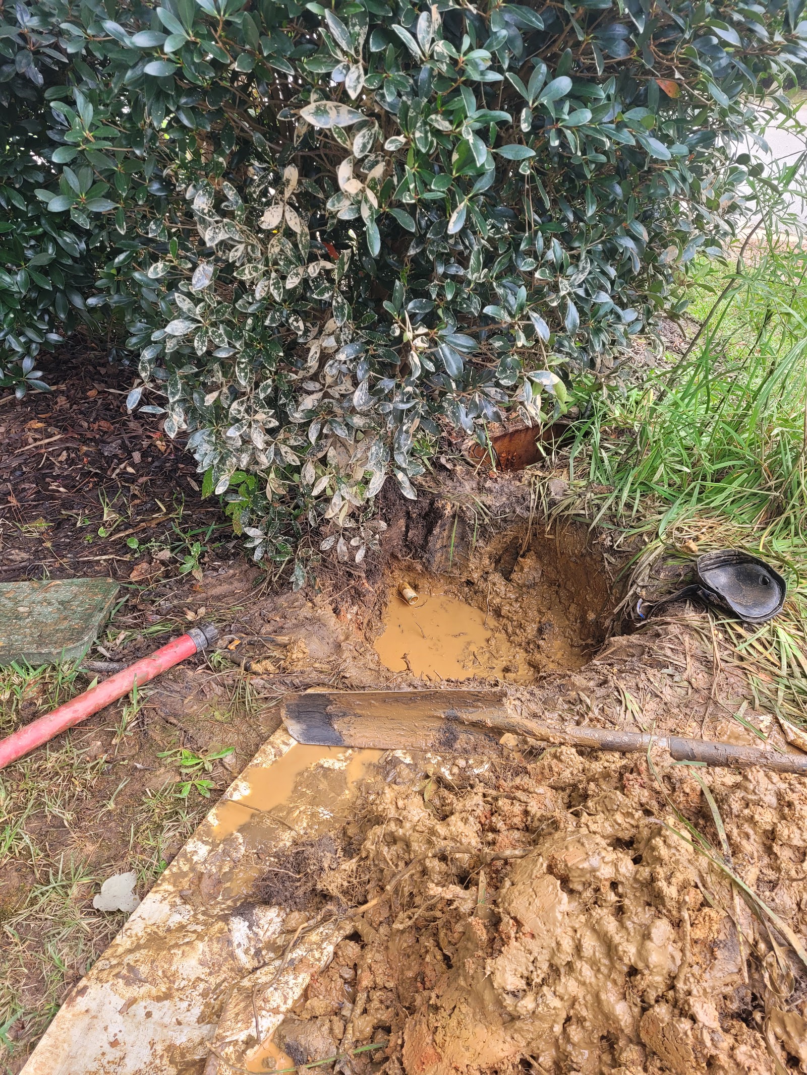 Carolina Backflow Specialties cover photo