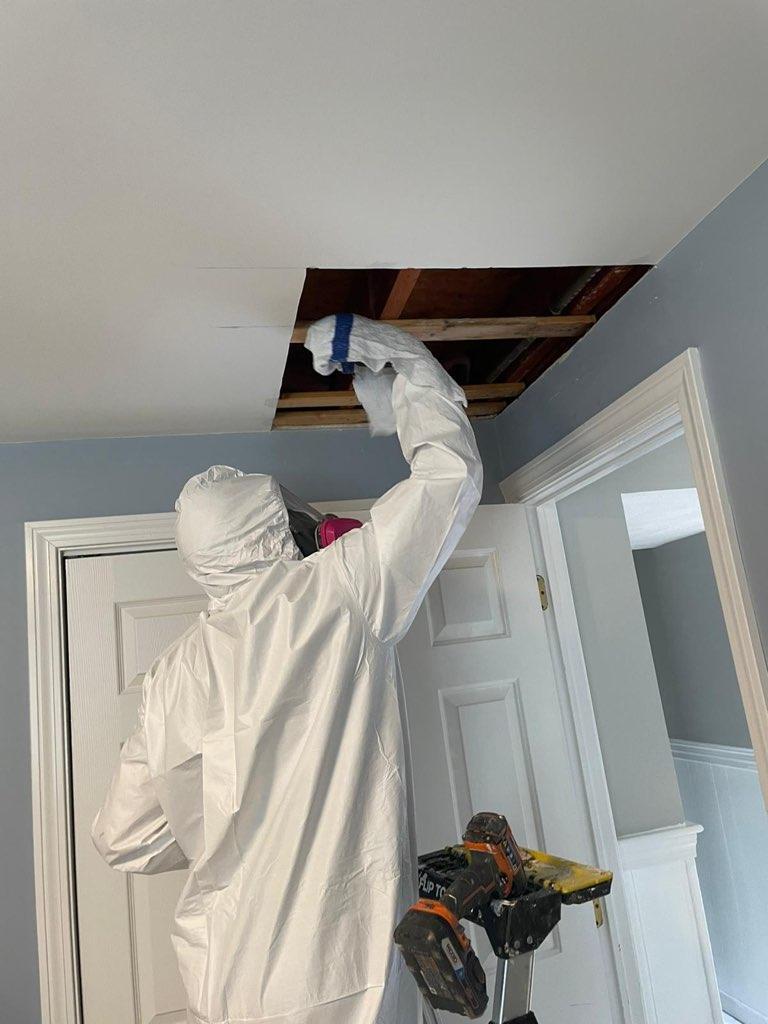 A1 Water & Mold Removal MA cover photo