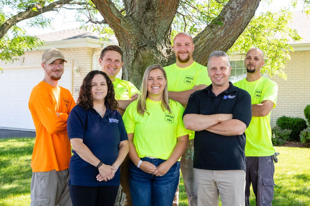 Mold Pro Chicago work photo