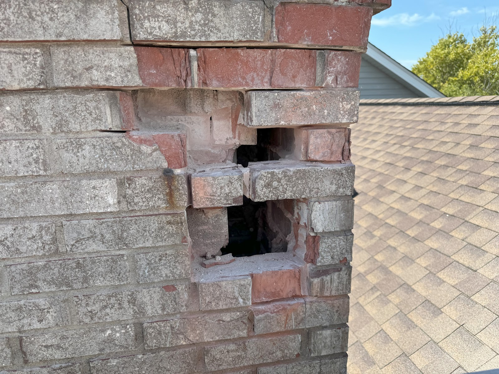 Chimney Bear cover photo