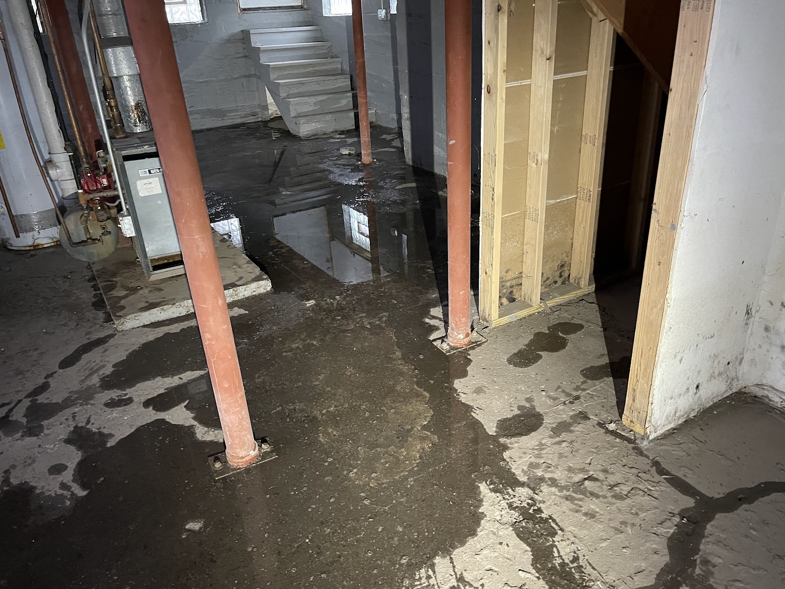 Chicago Mold Service work photo