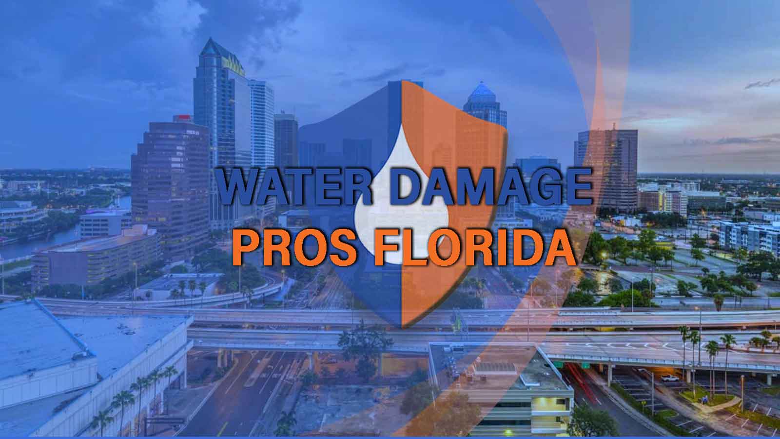 Water Damage Pros FL work photo