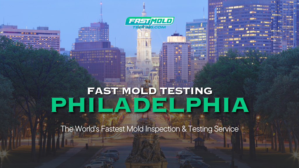 Fast Mold Testing - Philadelphia cover photo
