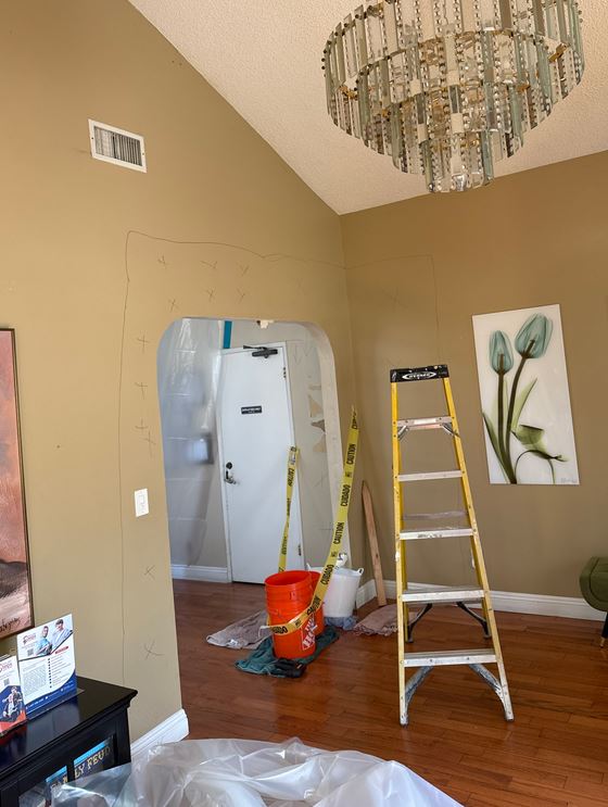 Mold Remediation Miami Elite work photo