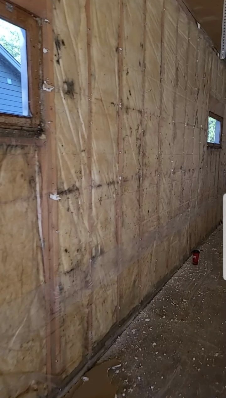 Mold Professions MN work photo