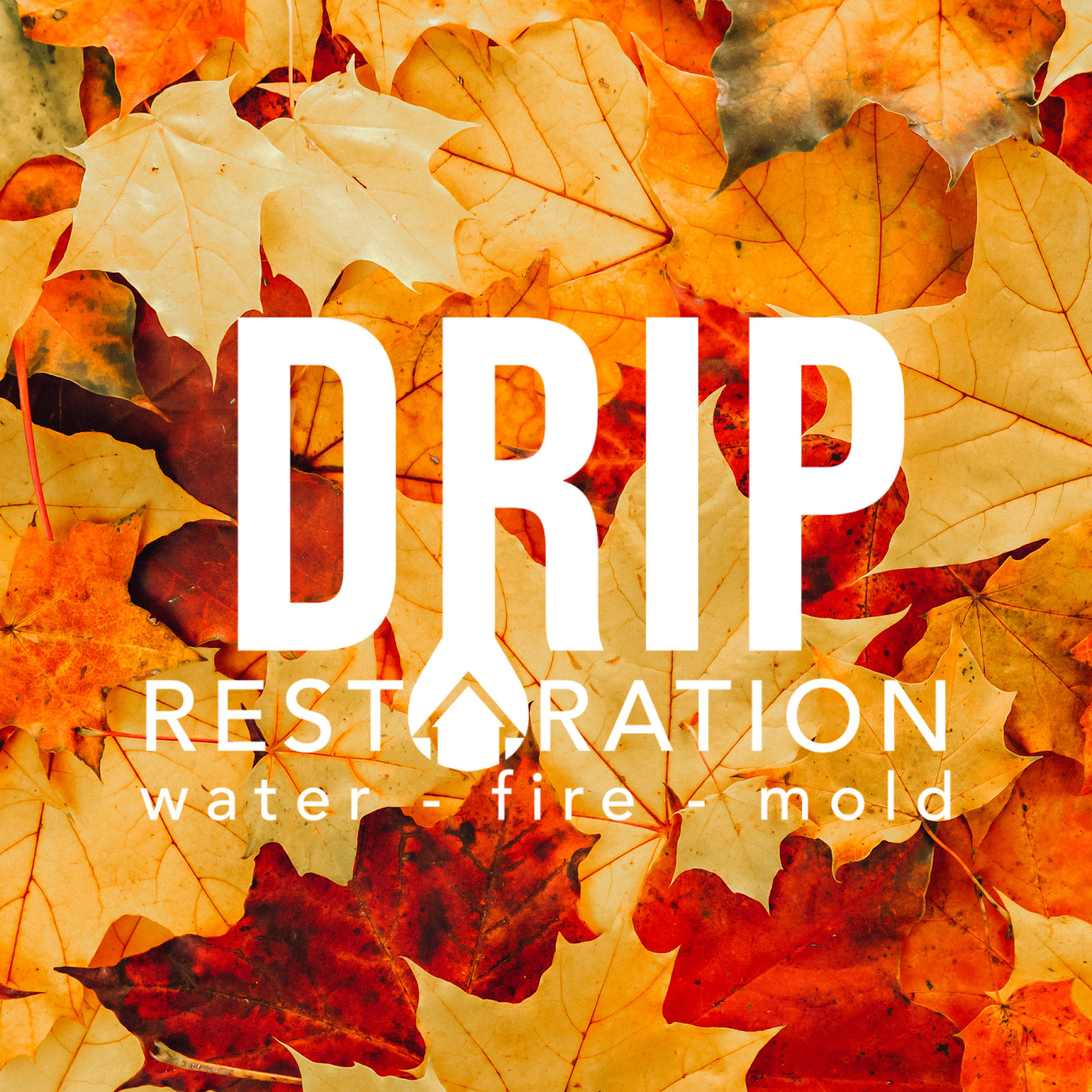 Drip Restoration work photo
