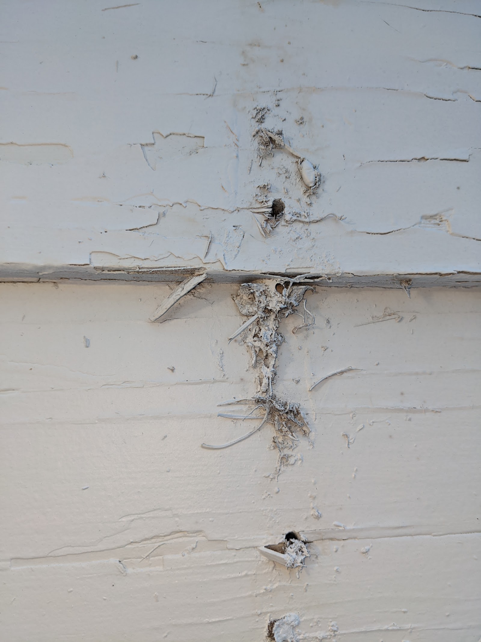 Colorado Hazard Control, LLC cover photo