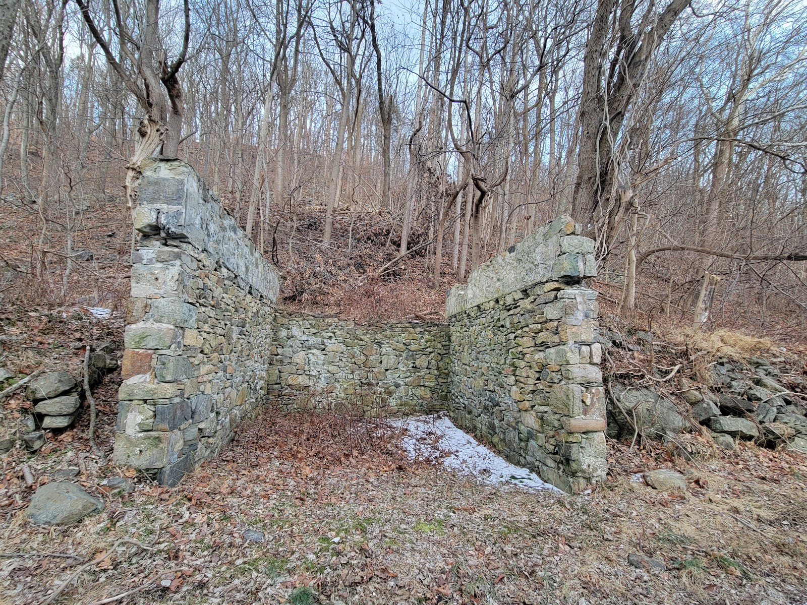 React Environmental Professional Services Group, Inc work photo