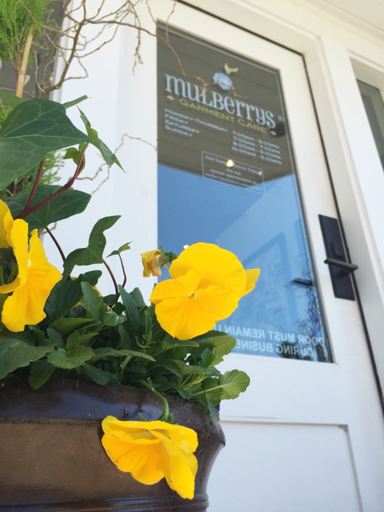 Mulberrys Dry Cleaners and Laundry work photo