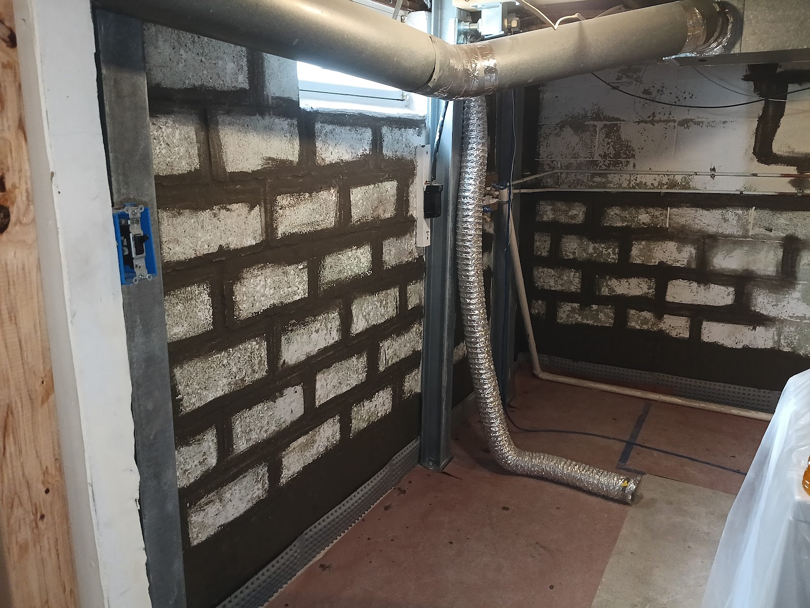 The Mold Man, LLC work photo
