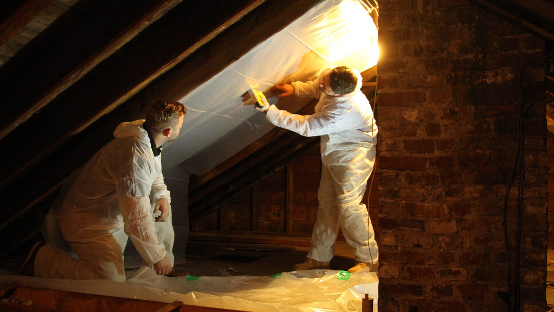 Asbestos Pro Services work photo