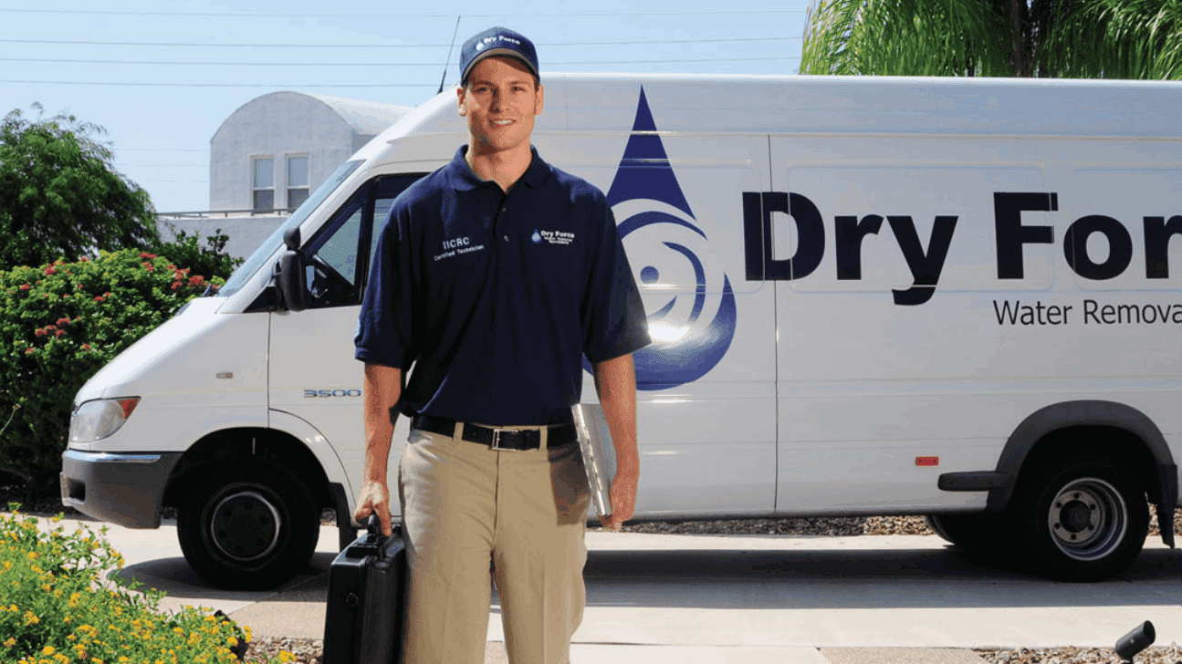 Dry Force Water Removal Specialists work photo