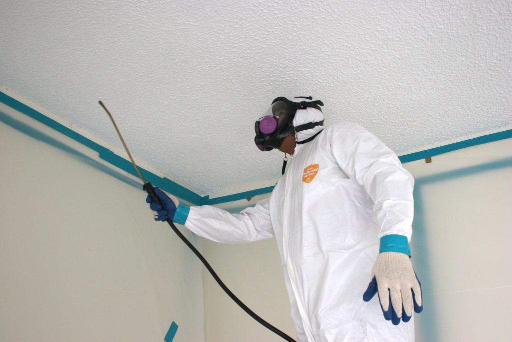 Seattle Mold Solutions work photo
