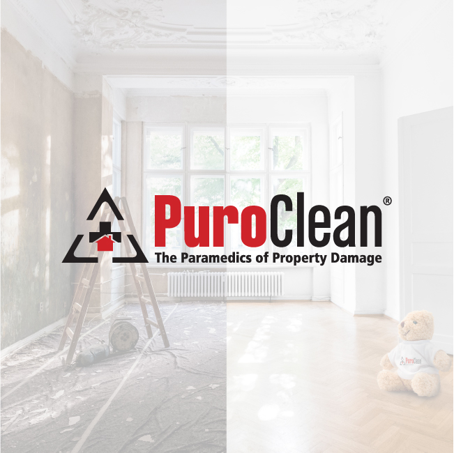 PuroClean of Downtown Miami work photo