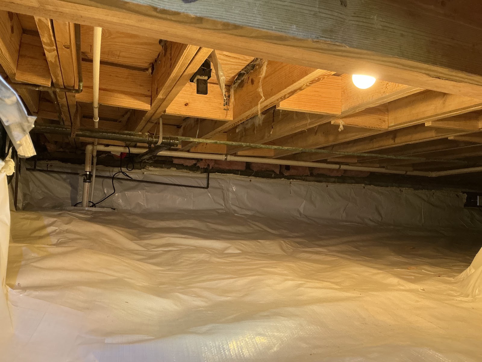 Crawl Space Ninja of Asheville cover photo