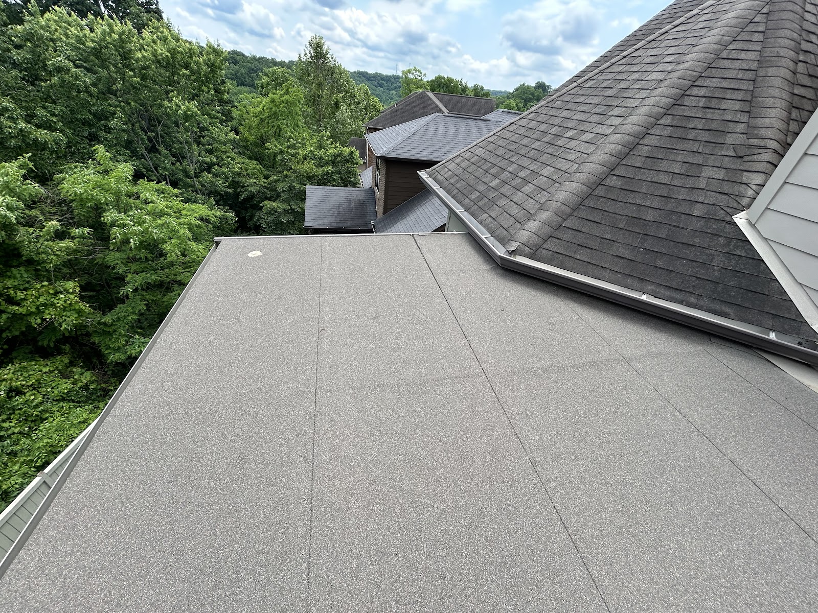 Bowerbird Construction cover photo