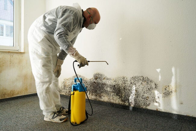 Certified Mold Removal Inspection and Testing Minneapolis MN work photo