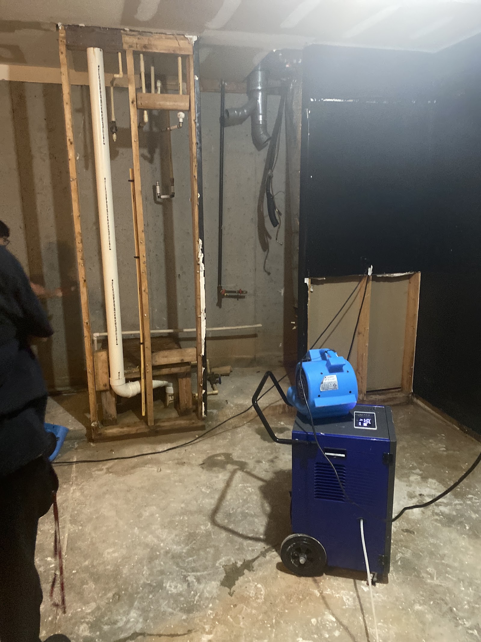Sentry Mold Protection cover photo