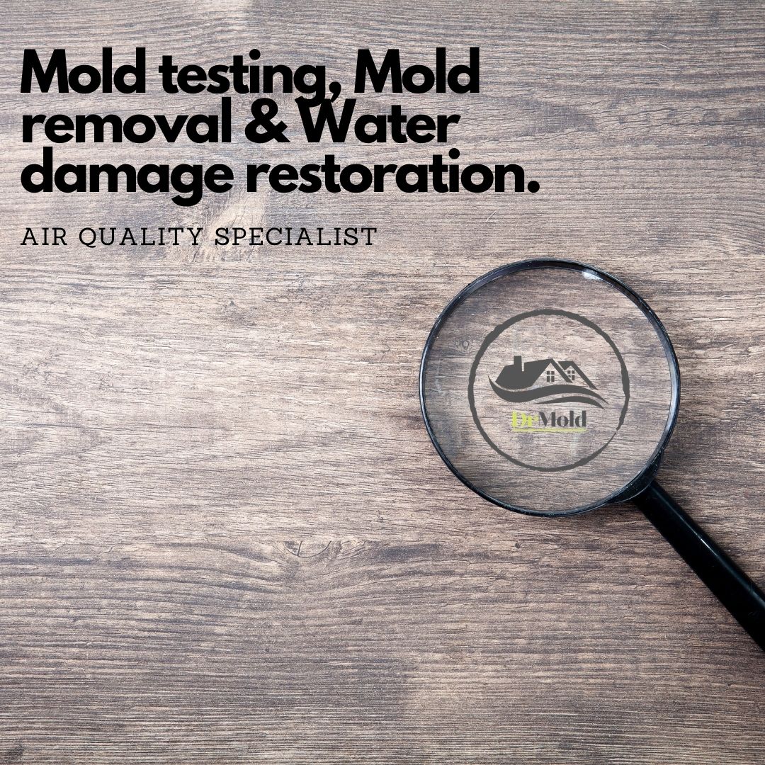 Dr Mold Testing, LLC work photo