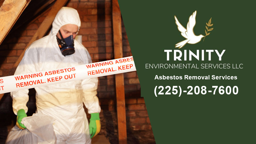 Trinity Environmental Services Baton Rouge LA work photo