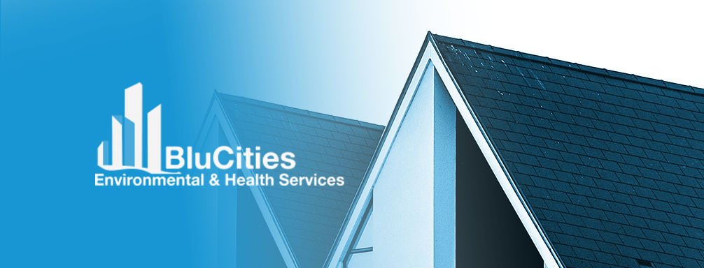 BluCities Environmental & Health Services work photo
