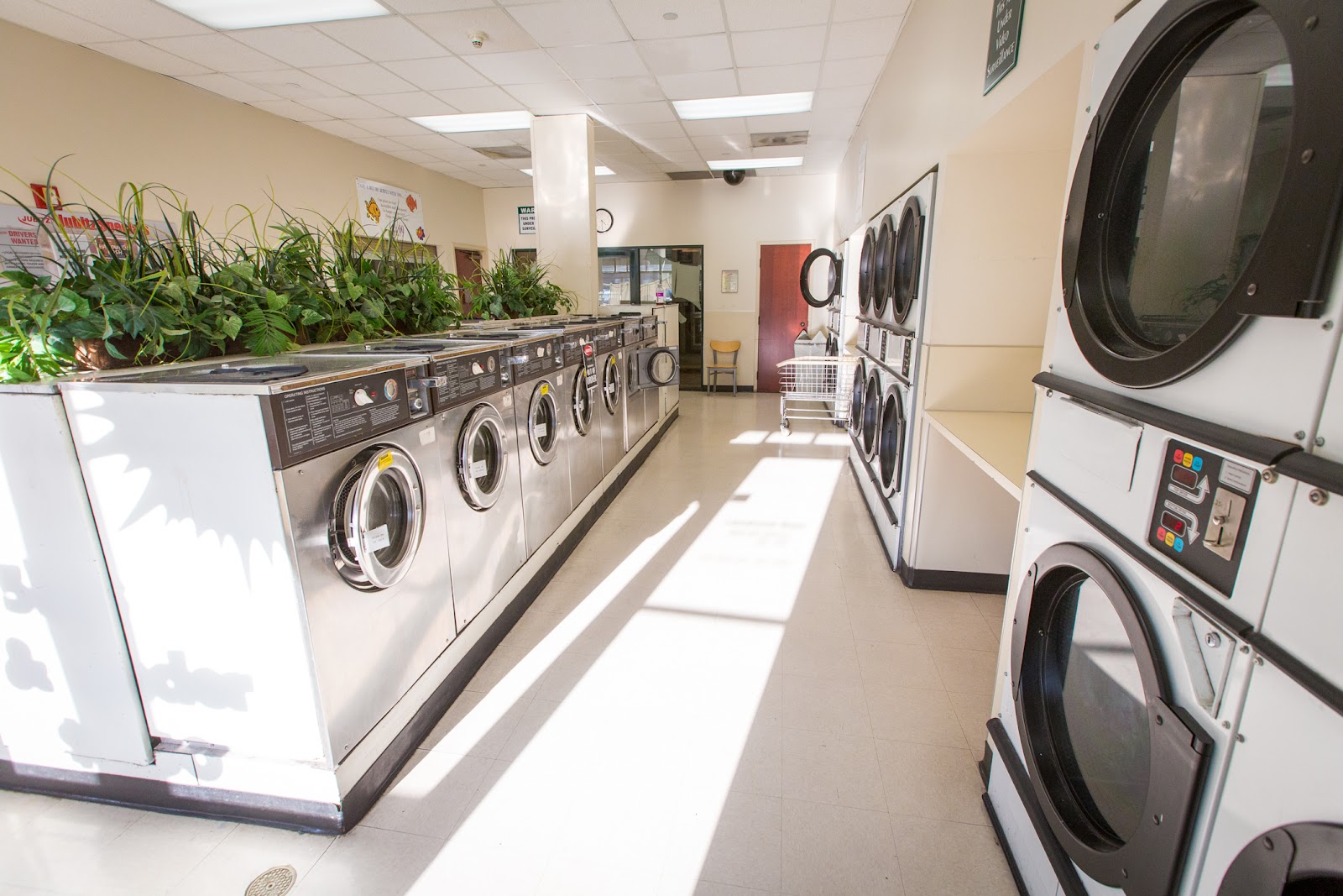 Jubitz Laundromat work photo