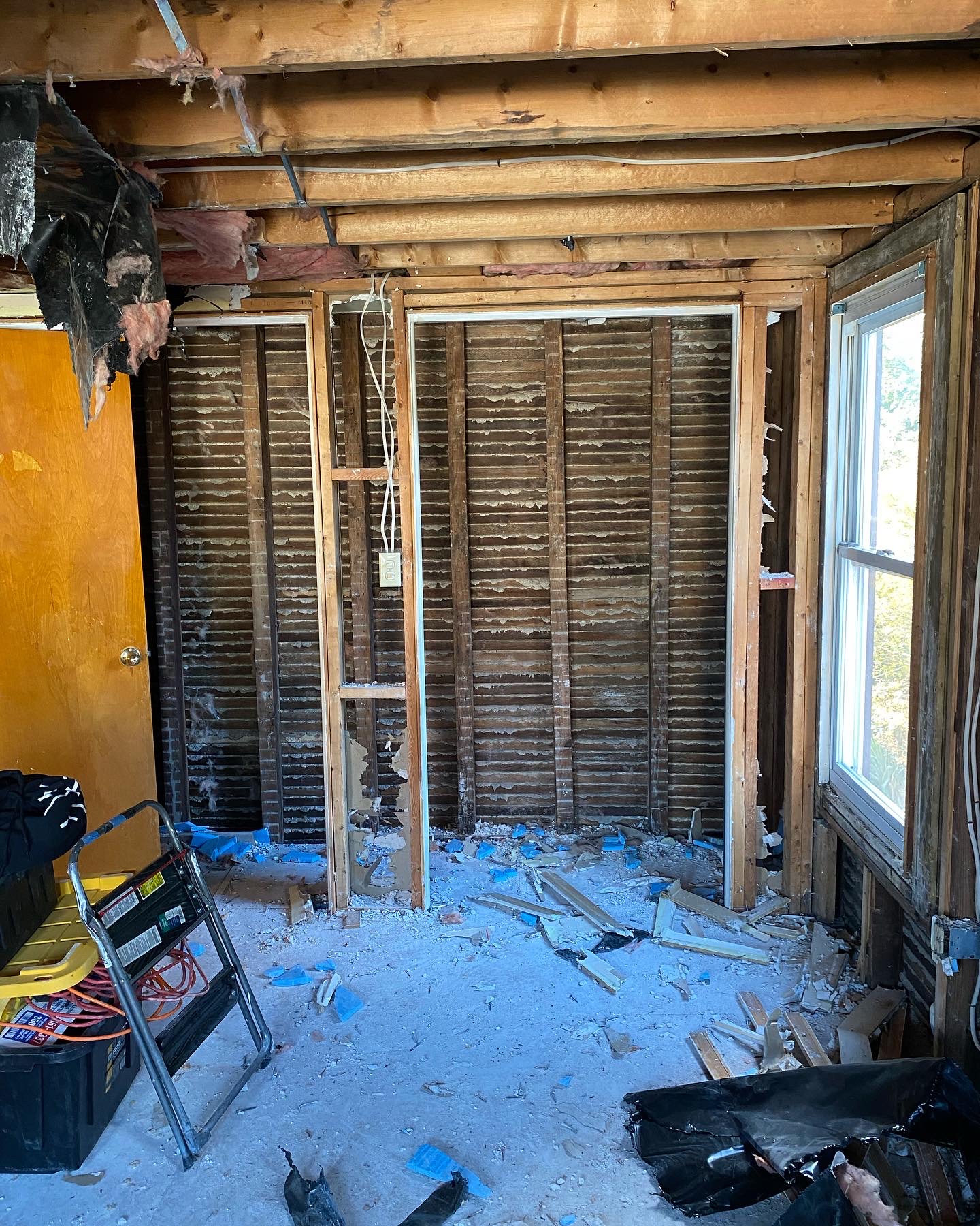 Top Shelf Mold Removal work photo