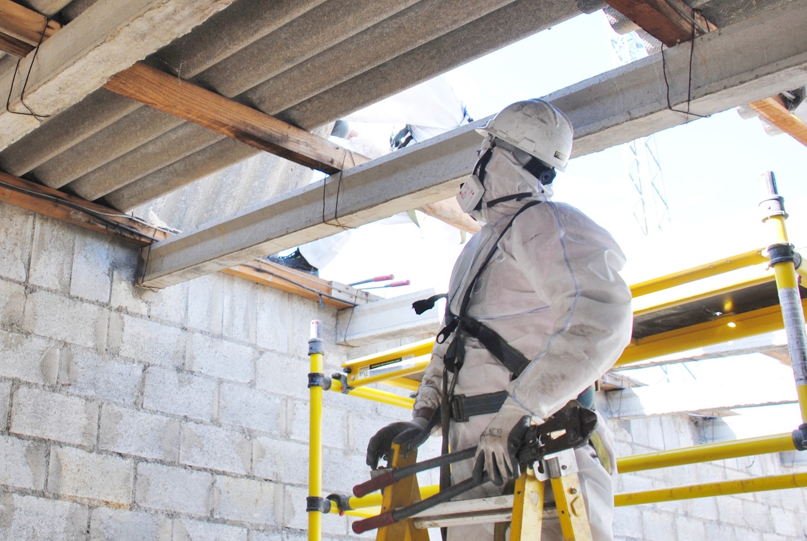 50 STARS - Asbestos Consulting cover photo