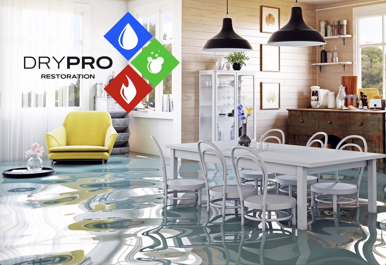 Water Damage & Mold by Drypro work photo