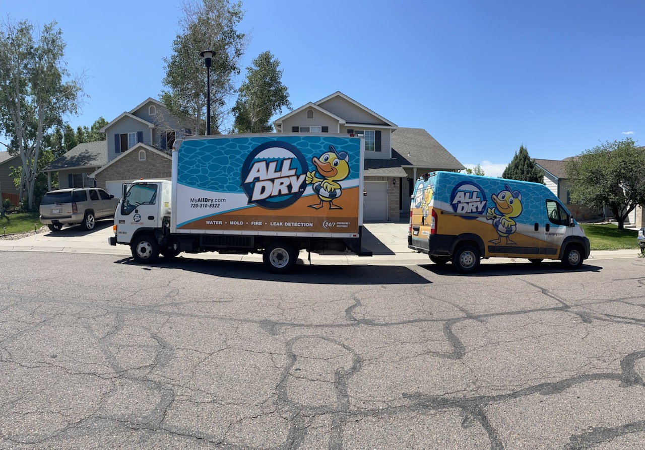 All Dry Services of Denver work photo