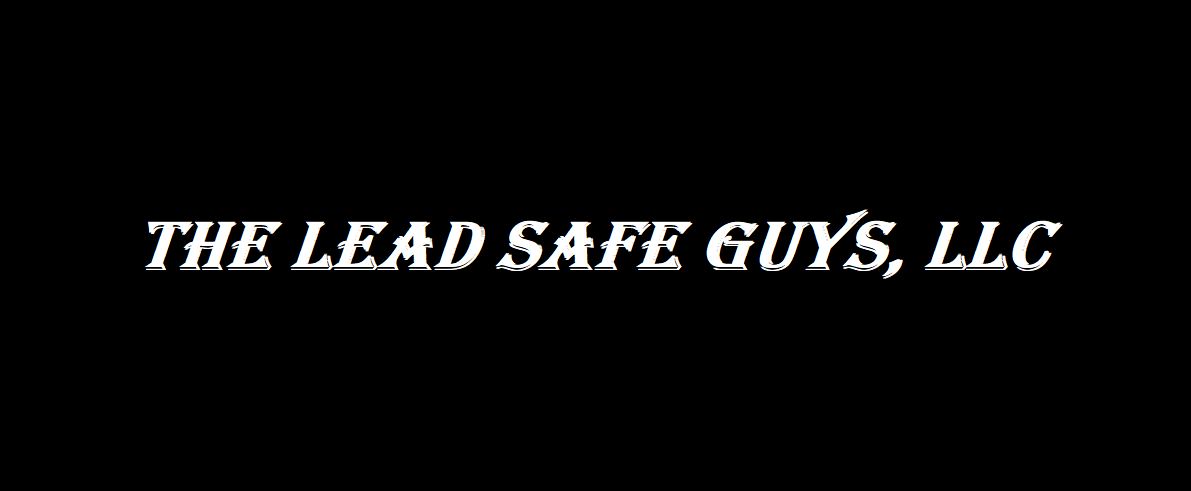 The LEAD Safe Guys LLC work photo