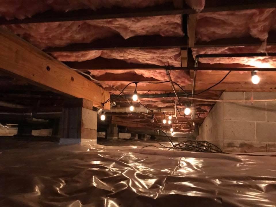Geo-Insulation & Nuisance Wildlife Removal Services, LLC work photo