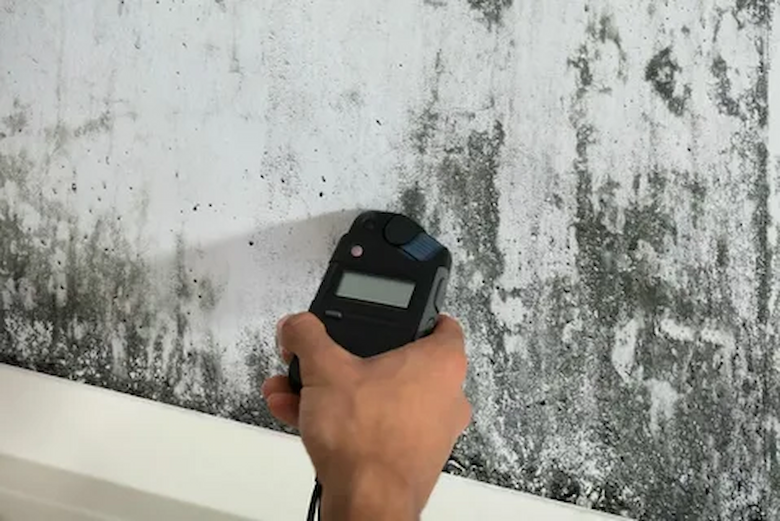 Advantage Mold Experts cover photo