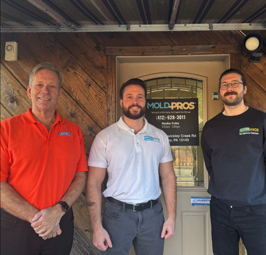 Mold Pros of Western PA work photo